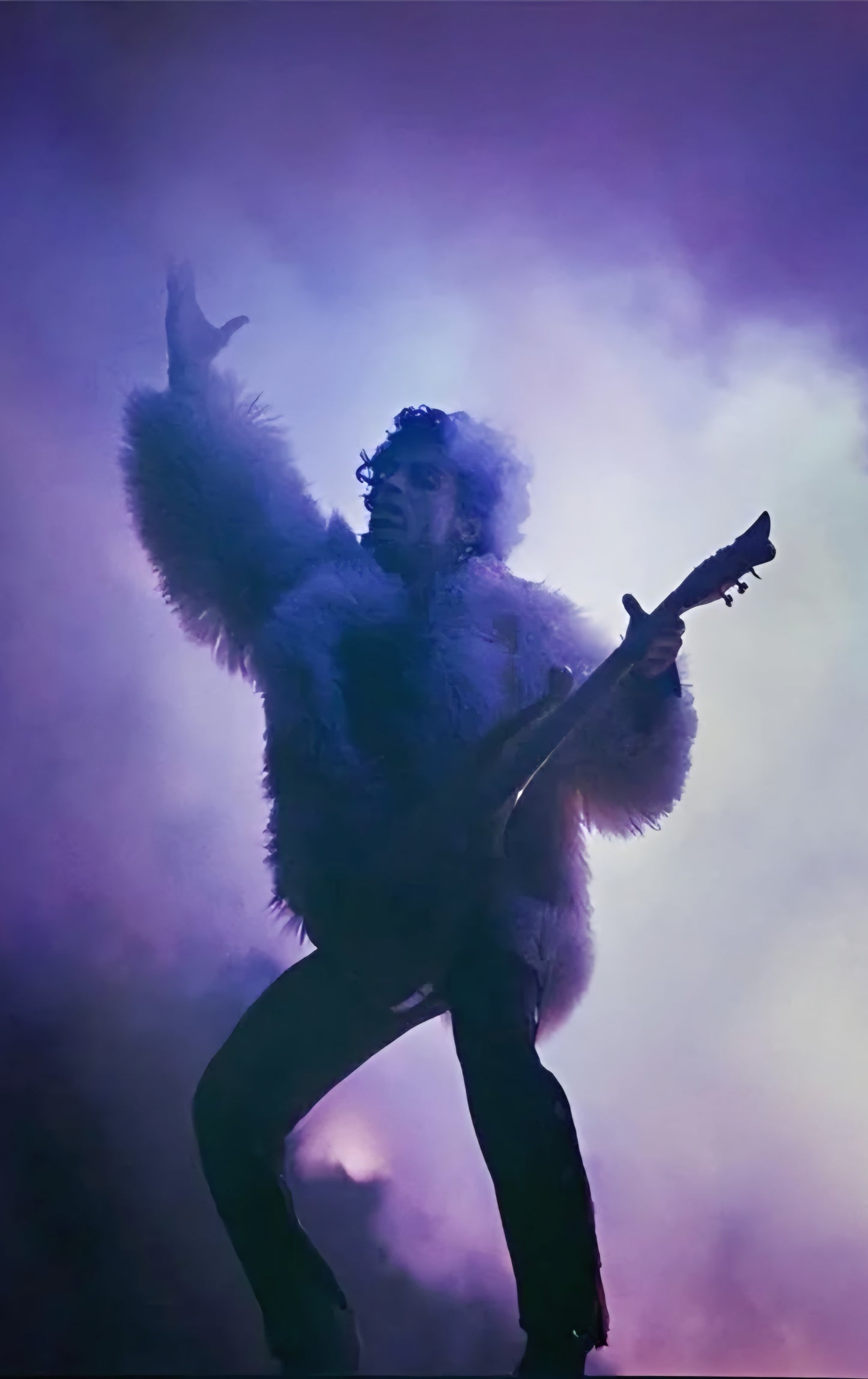 Prince poster with multiple size and finish options A9
