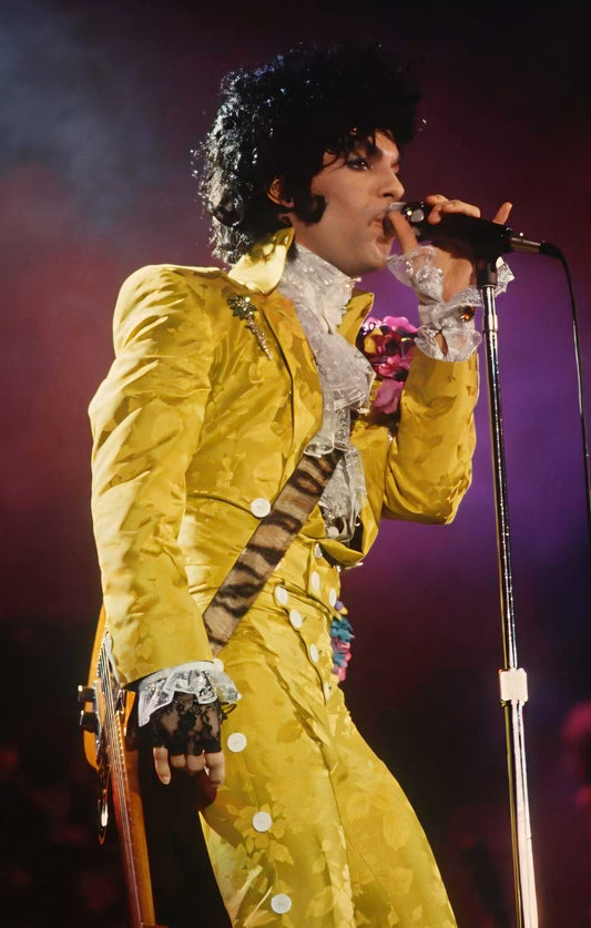 Prince poster with multiple size and finish options A8