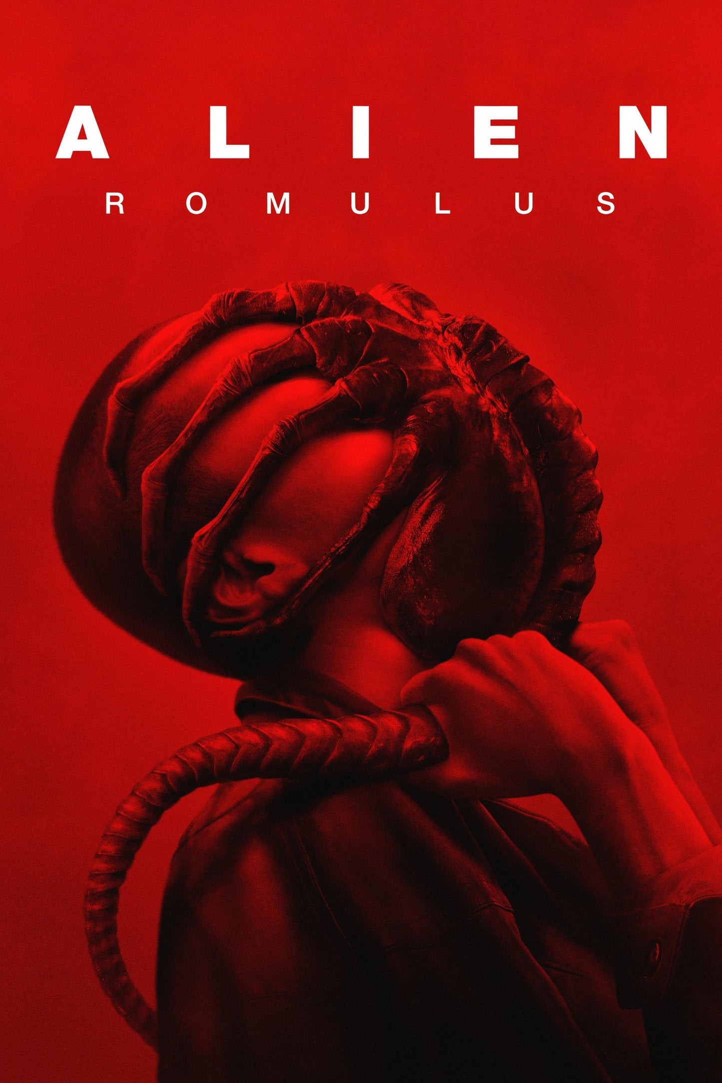 Alien Romulus 13"x 19" movie poster.