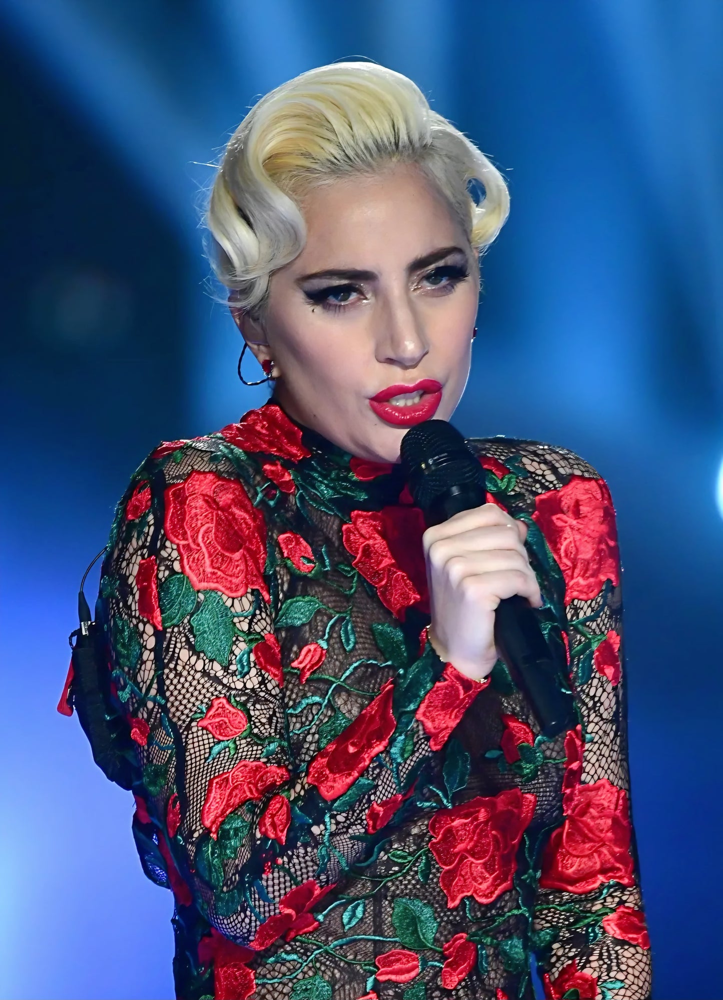 Lady Gaga 13" x 19" poster. Matte or Glossy, B9