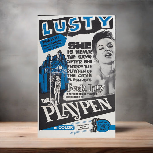 Adult Film movie poster with multiple size and finish options. The Playpen
