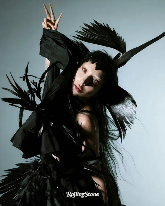 Lady Gaga 13" x 19" poster. Matte or Glossy, B2