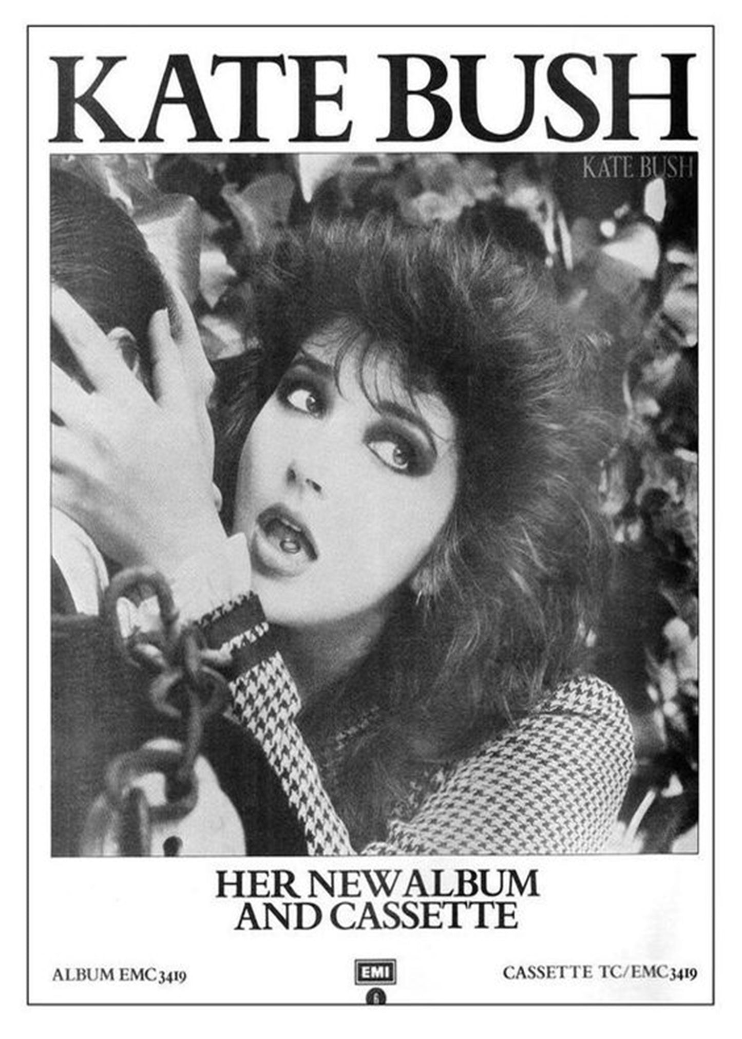 Concert poster with multiple size and finish options. Kate Bush