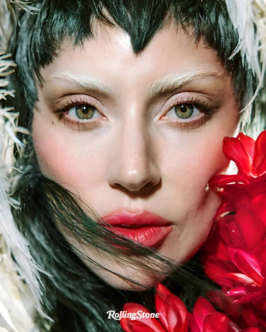 Lady Gaga 13" x 19" poster. Matte or Glossy, B6