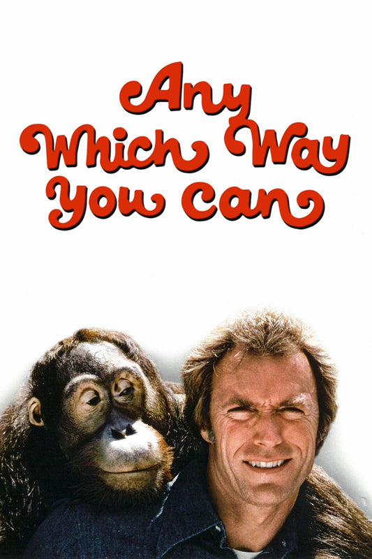 Any Which Way You Can 13"x 19" movie poster.