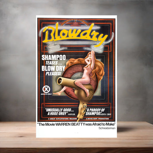 Adult Film movie poster with multiple size and finish options. Blow Dry